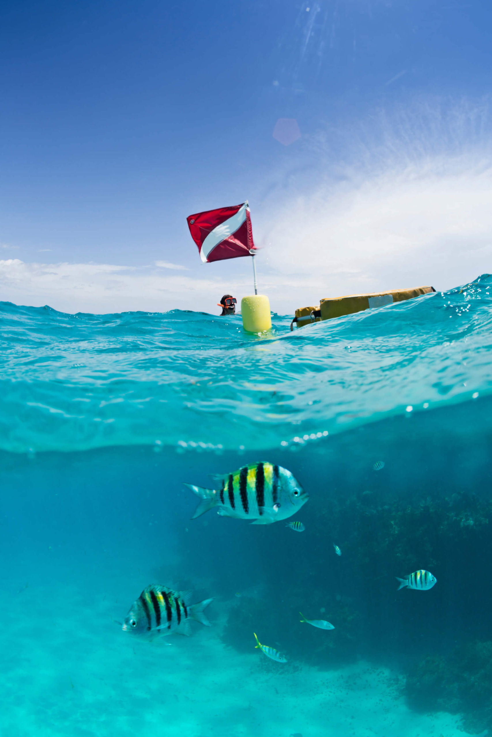 Scuba diving in The Bahamas The Abaco Club