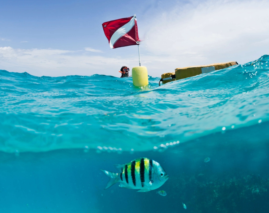 Snorkeler swimming near The Abaco Club