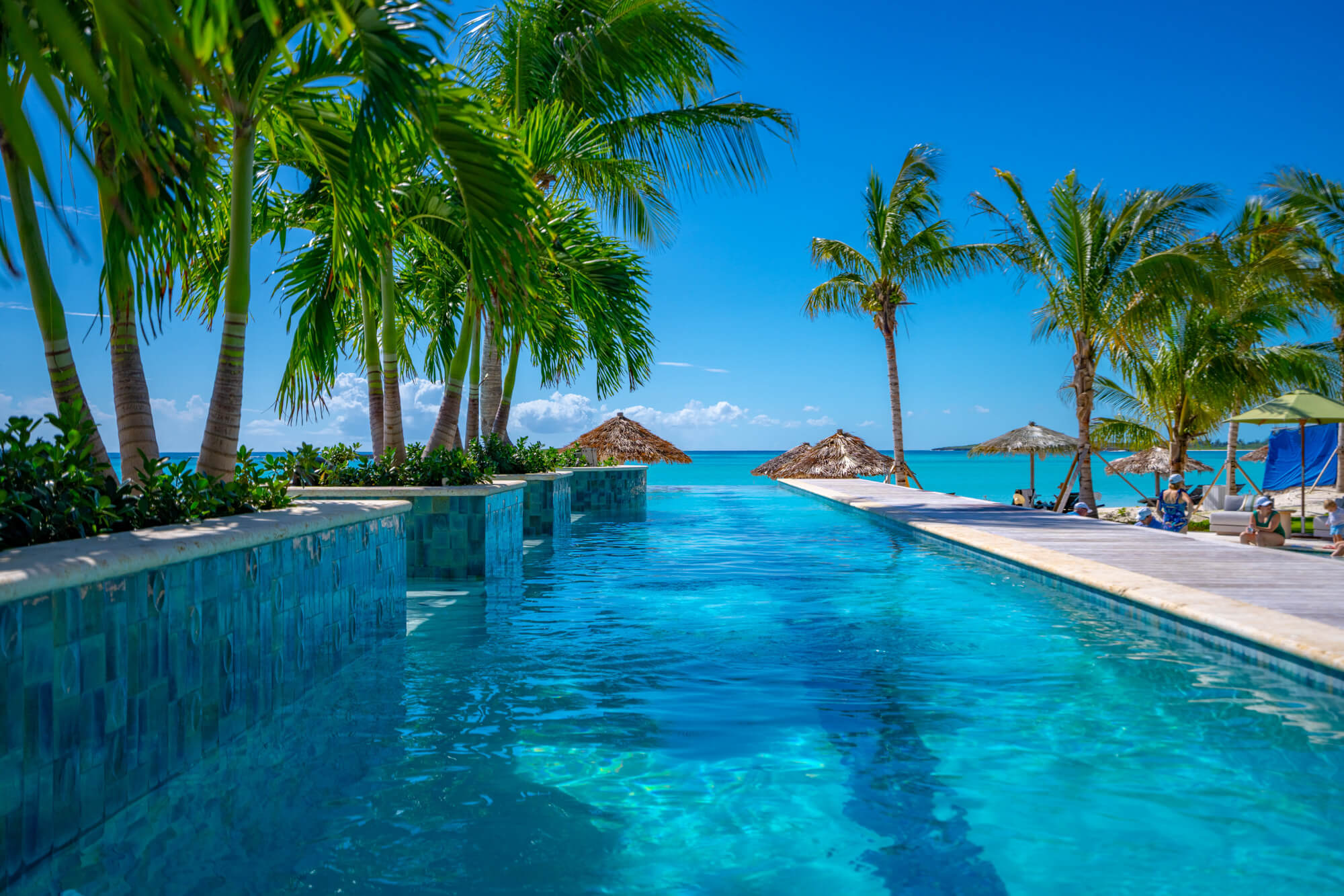 Tropical pool scene with palm trees along the edge, turquoise water, and thatched umbrellas by a sunny beach.