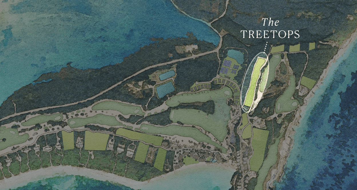 Detailed site map of a coastal resort labeled The Treetops, showing buildings, roads, greens, and surrounding turquoise water.